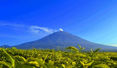 Pesona Gunung Kerinci: Tempat Wisata yang Menawarkan Keindahan Alam Paripurna