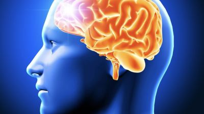 Mengapa Otak Kita Kerap Salah Menilai Situasi