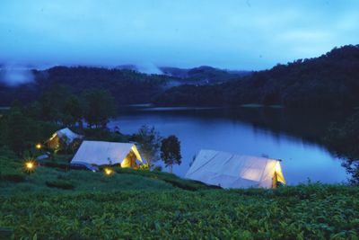 Kepo dengan Sensasi Bermalam di Tepi Danau? Simak Panduan Lengkap Glamping Lakeside Rancabali!