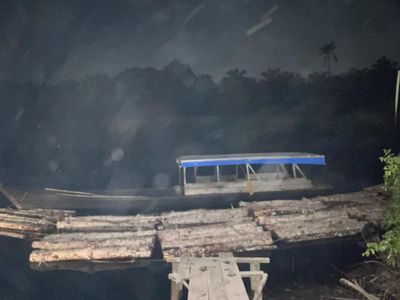 Polres Bengkalis Ungkap Dugaan Illegal Logging di Sungai Nibung, Tiga Orang Ditangkap