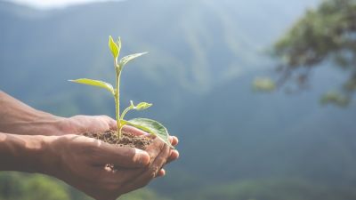 Peran Individu dalam Upaya Melestarikan Lingkungan