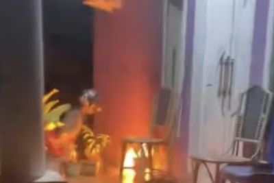 Rumah Kades di Luwu Jadi Sasaran Teror OTK, Dilempari Batu dan Bom Molotov Saat Dini Hari
