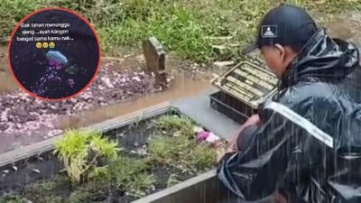 Momen Haru Ayah Datangi Makam Putri Kecilnya Lepas Rindu