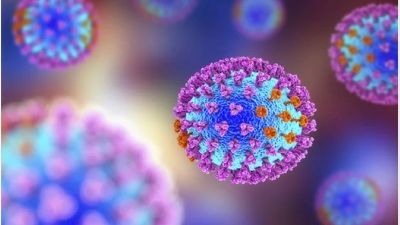 Kewaspadaan Terhadap Risiko Penyebaran Virus Nipah Meningkat