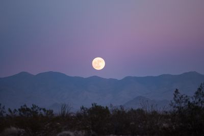 Unik! Bulan Februari Bisa Berlalu Tanpa Bulan Purnama