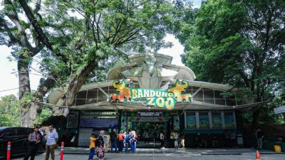 Langkah Kementerian Kehutanan Lindungi Satwa di Bandung Zoo