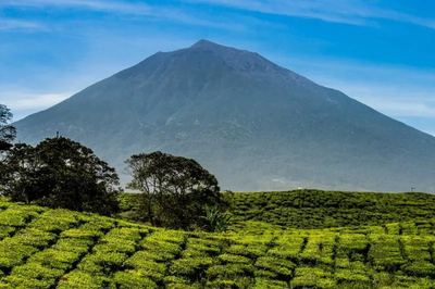 Asal-usul Nama Kerinci dan Perjalanan Panjang Sang Bumi Sakti Alam Kerinci