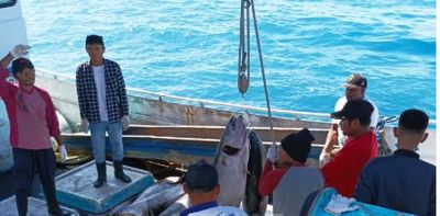 Potensi Ikan Tuna di Perairan Biak Numfor