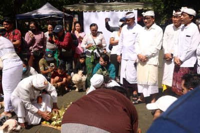 Tumpek Uye di Denpasar, Persembahyangan dan Vaksinasi Rabies Gratis Jadi Satu