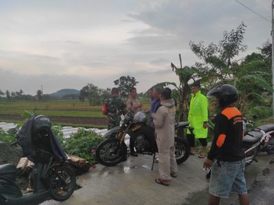 Petir Menyambar Tiga Petani di Sleman Saat Menanam Padi Hari Ini, Hanya Satu yang Selamat