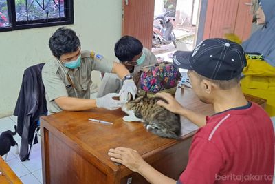 Cegah Rabies Sejak Dini! Puluhan Hewan Peliharaan di Pejaten Barat Dapat Vaksin Gratis