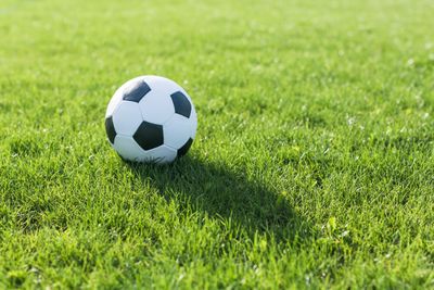 Mengenal 7 Jenis Rumput Lapangan Sepak Bola Sesuai dengan Standar FIFA yang Wajib Kamu Ketahui