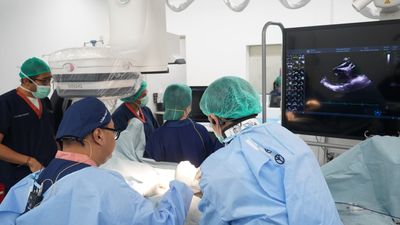 Penyakit Jantung Bawaan pada Anak: Fakta, Gejala dan Cara Penanganannya