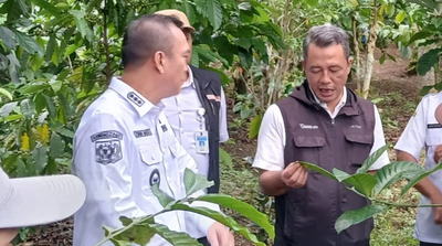 Bupati Kepahiang Belajar Teknik Panen Petik Merah ke Temanggung
