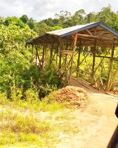 Masih ada Jembatan Kayu, Andi Mulyono: Krayan Harus Ada Perlakuan Khusus