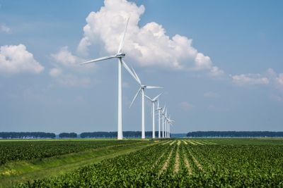 Shell Kaji Masa Depan Unit Renewables Sprng, Ingin Ciptakan Nilai Jangka Panjang
