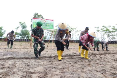 Dukung Swasembada Pangan Nasional, Wakapolres Buru Pimpin Penanaman Jagung Kuartal I 2026