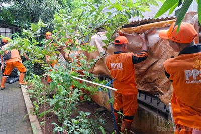 Demi Kenyamanan Siswa, Petugas Gabungan Tertibkan Terpal Pedagang yang Nyelonong ke SDN 03 Jelambar