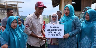 Tradisi Meugang Dijaga: TP PKK Aceh Bagi Sapi dan Paket Pangan ke Gampong
