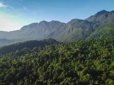 Taman Nasional Manusela, Potensi Ekowisata dan Surga Petualangan di Pulau Seram