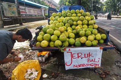 Jeruk Bali Bukan dari Bali, Ini Asal Usul Namanya