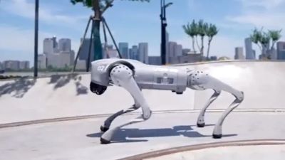 Kritik Terhadap Klaim Pengembangan Robot Anjing di KTT AI New Delhi