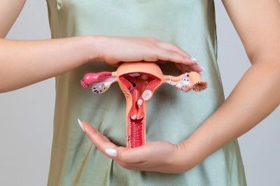 Mengenal Oogenesis, Proses Terbentuknya Sel Telur dalam Sistem Reproduksi Wanita