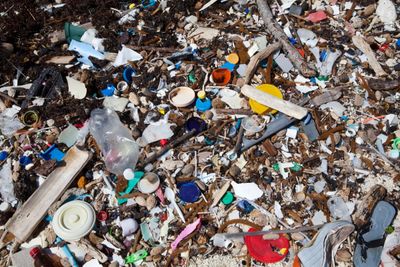 Darurat Sampah Indonesia: Dominasi Limbah Rumah Tangga dan Tantangan Pengelolaan