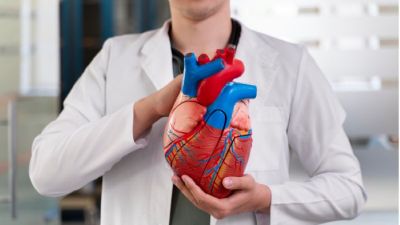 Positive Impact of Ramadan Fasting on Heart Health