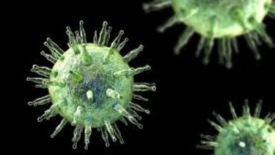 Virus Epstein-Barr dan Potensi Hubungannya dengan Lupus: Temuan yang Mengubah Paradigma