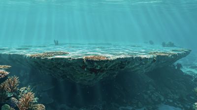 Misteri Laut Dalam: Fakta Menarik dan Tantangan Penjelajahannya