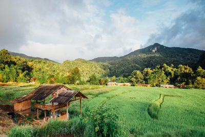 PAKAKAAN, Wilayah Agropolitan Yang Kaya di Minahasa