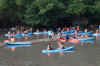 HUT ke-238 Denpasar, Ratusan Pelajar Susur Mangrove dan Bersih-Bersih Pesisir di Tahura Ngurah Rai