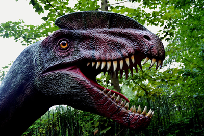Fosil Spinosaurus Mengerikan Berjambul Pedang Ditemukan di Gurun Sahara Niger