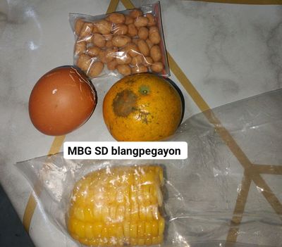 Menu MBG di Gayo Lues Disorot, JARA Minta Evaluasi Total
