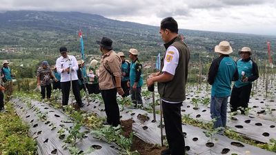 Petani Wonolelo Perluas Lahan Kopi Arabika, Targetkan Hasil Premium dan Ekonomi Meningkat
