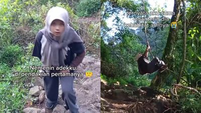 Kelakuan Adik Perempuan yang Pertama Kali Mendaki Gunung Ini seperti Pulang ke Habitat Asal