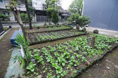 Lima SD Jadi Percontohan Program Ekosistem Pangan Sehat Kota Bandung