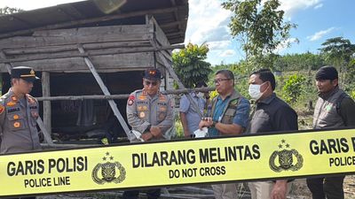 Anak Gajah Liar Ditemukan Mati di Tesso Nilo, Kapolda Riau Turun Langsung Selidiki