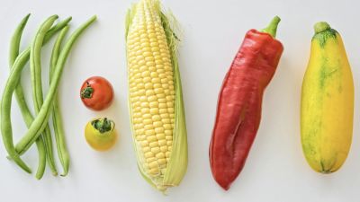 Pilihan Menu Sehat untuk Mengelola Diabetes Tipe 2