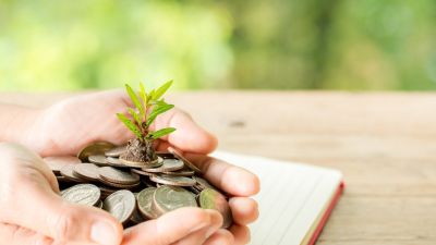 Mulai Berinvestasi dengan Modal Terjangkau: Peluang yang Menunggu