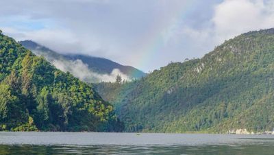 3 Penginapan di Kabupaten Paniai Papua Tengah, Saksikan Pemandangan Spektakuler Danau dari Dekat