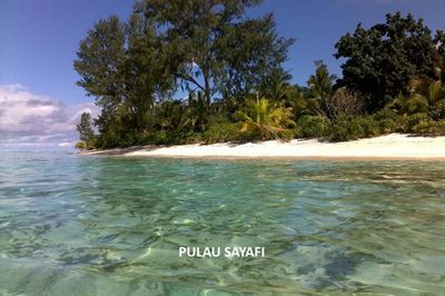 Pulau Sayafi, Surga Pasir Putih di Patani Utara yang Selalu Ramai Saat Libur Lebaran