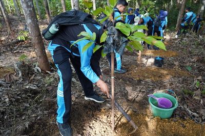 Menanam Masa Depan: Mahasiswa UGM dan Siswa SMPN 27 PPU Turut Hadir Hijaukan Miniatur Hutan Tropis IKN