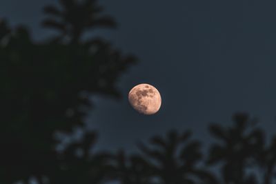 Jadwal Gerhana Bulan di Sulut Hari Ini. Jangan Ketinggalan!