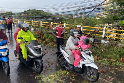 Pohon Tumbang Timpa Mobil di Jalan Diponegoro, Lalu Lintas Sempat Melambat