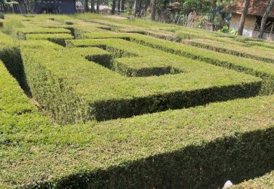 Menikmati Sensasi Tersesat di Taman Labirin Coban Rondo