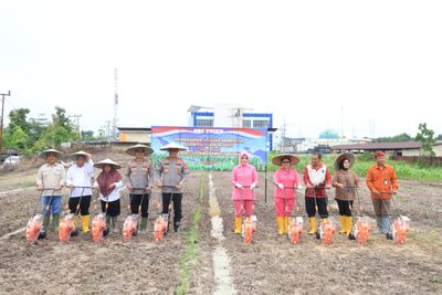 Polda Kaltara dan Forkopimda Tanam Jagung Serentak Dukung Swasembada Pangan