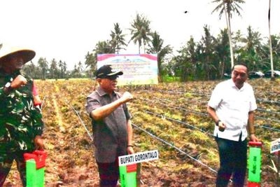 Pemkab Gorontalo dan Polri Tanam Jagung Serentak