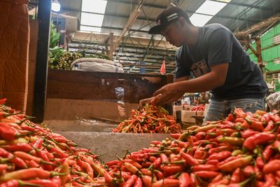 Kementan Ajak Masyarakat Belanja Pangan Bijak Jelang Lebaran, Hindari Panic Buying